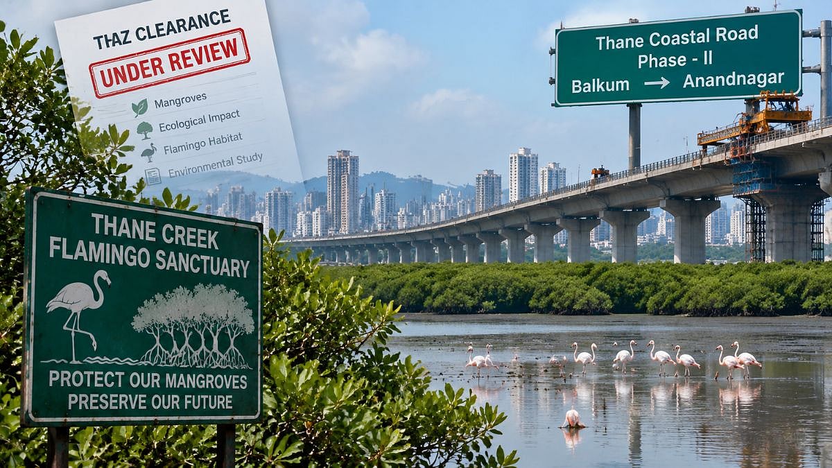 Thane Coastal Road Phase 2 Hits CRZ Hurdle Over Mangroves, Flamingo Sanctuary; MCZMA Seeks More Studies
