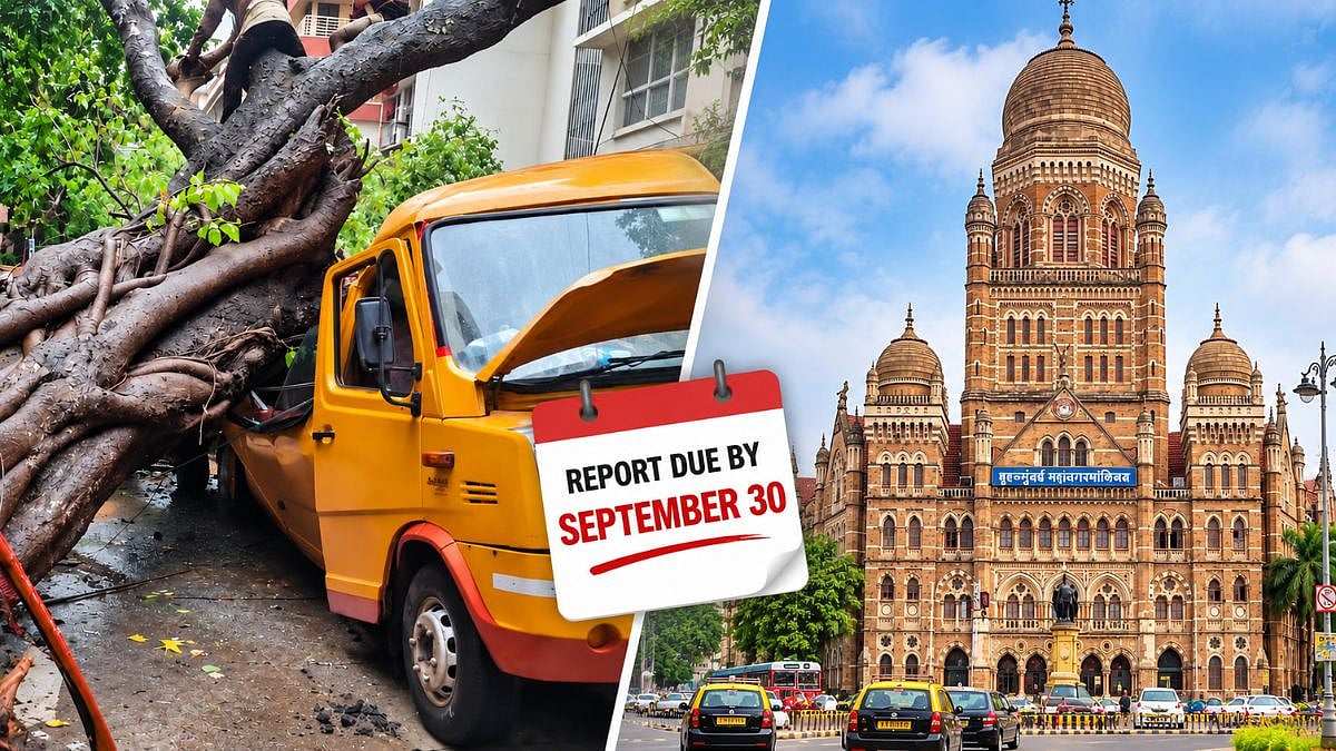 Mumbai: BMC Extends Chembur Tree-Fall Probe Report Deadline To September 30 After 11-Year-Old’s Death