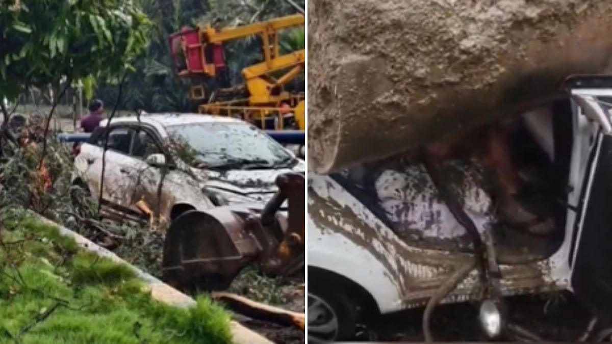 Tragic! Tree Falls On Moving Car In Indore During Heavy Rain, Deputy Collector’s Mother Dies - VIDEO