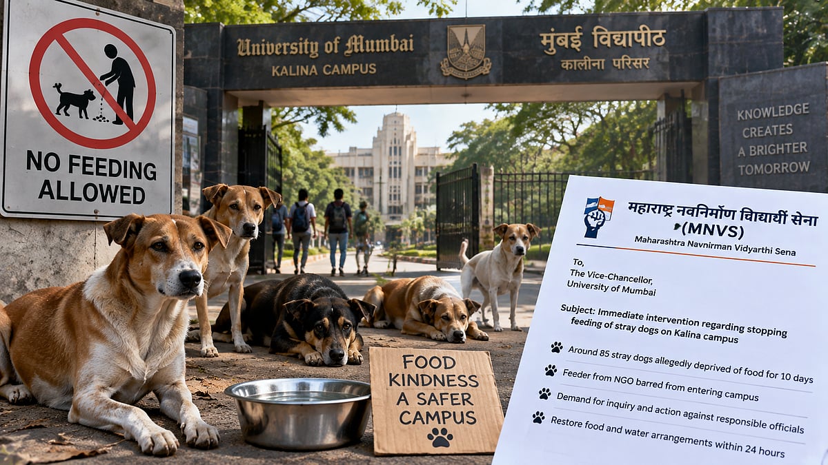 Mumbai University Accused Of Stopping Food Supply To 85 Stray Dogs On Kalina Campus, MNVS Seeks Probe