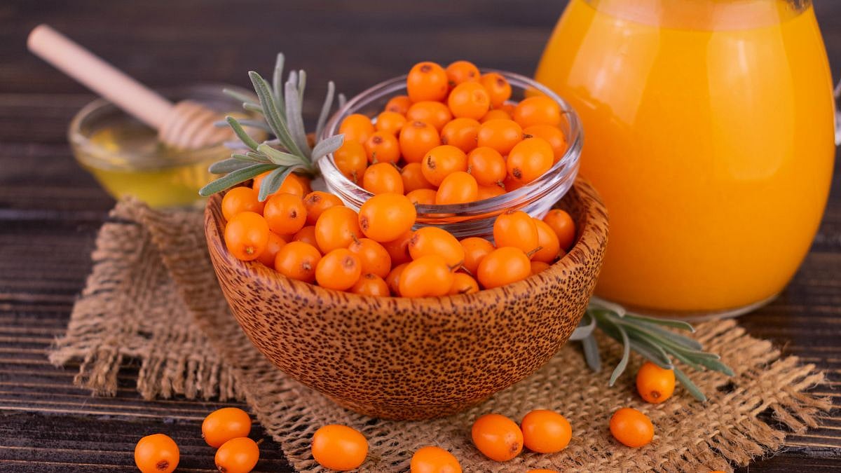 Sea Buckthorn In Ayurveda: Benefits, Uses, And Wellness Secrets
