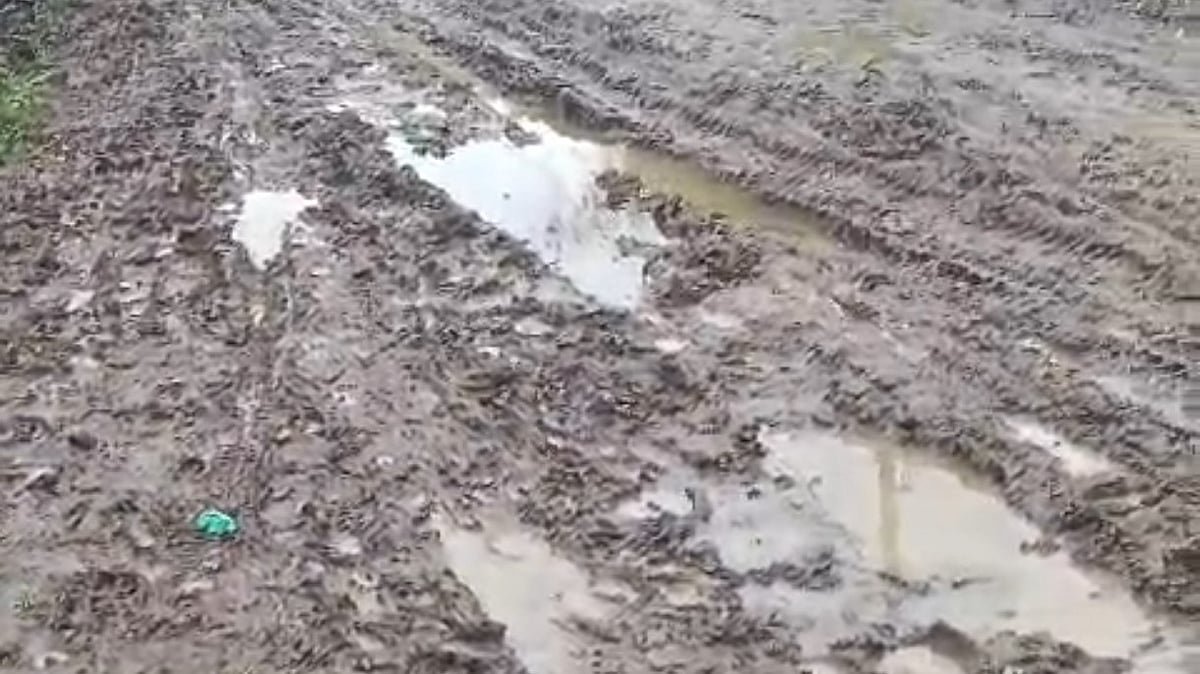 Road Or Mud Pool? MP’s Sehore Villagers Rue Monsoon Misery As Route Turns Impassable