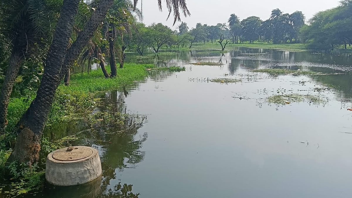 Drone Mapping Reveals Water Beyond Old Markers In Bhopal’s Bhoj Wetland; Sewage Line Found Submerged