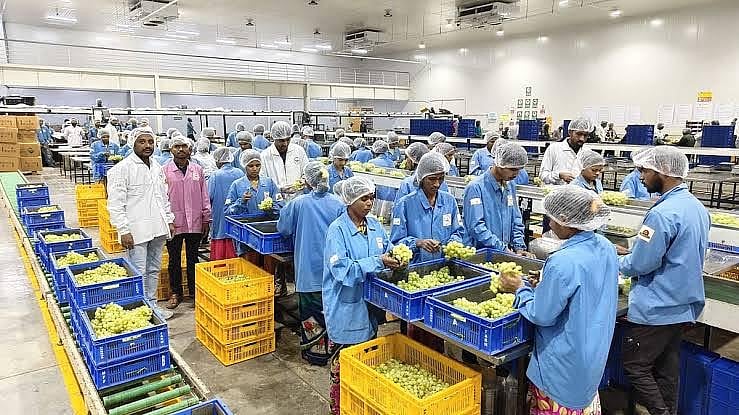 Nashik: Grapes, Onions, Pomegranates And Wine Drive Export Growth In 2026
