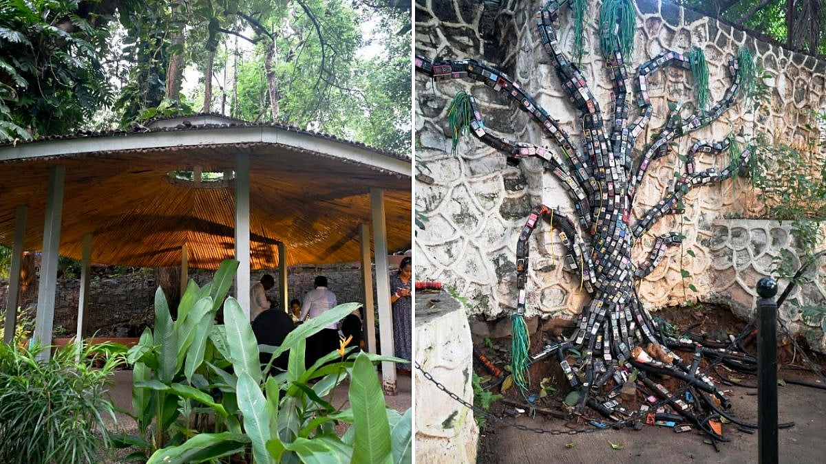 Mumbai Launches ‘Wings & Roots’ Movement To Map Biodiversity And Build Green Corridors Across City