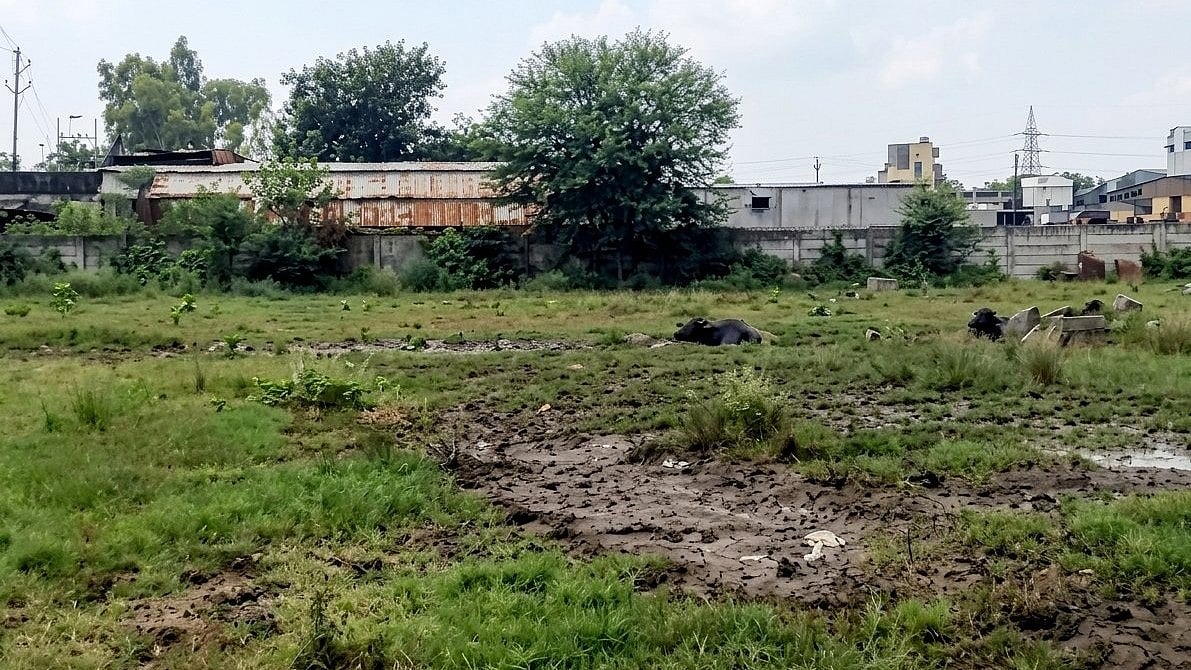 Road, Restaurants And Structures Found Near Kaliasot FTL During Day 5 Of Bhoj Wetland Survey In Bhopal