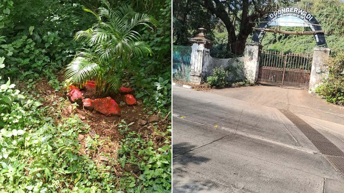 Mumbai: Red-Painted Stones At Parsi Tower Of Silence Spark Concerns Over Pet Burial, Lack Of Civic Rules