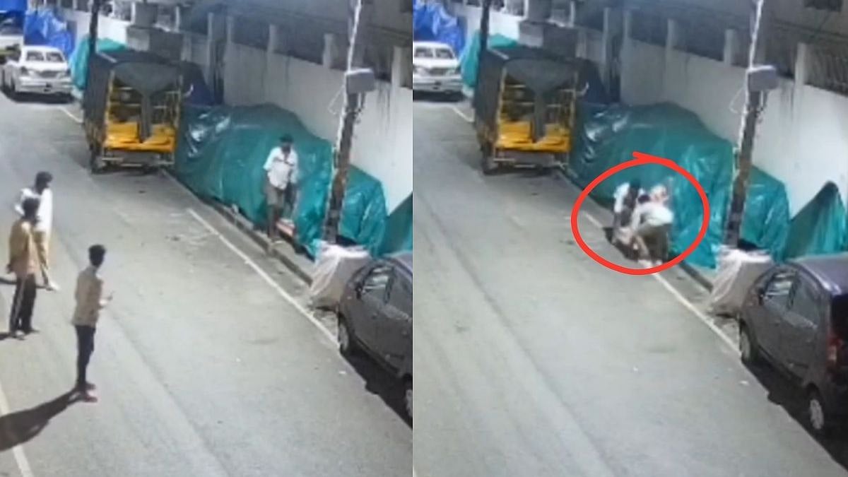 Bengaluru: Ganesh Idol Allegedly Stolen From Roadside Stall At Midnight, Viral CCTV Footage Captures Entire Act
