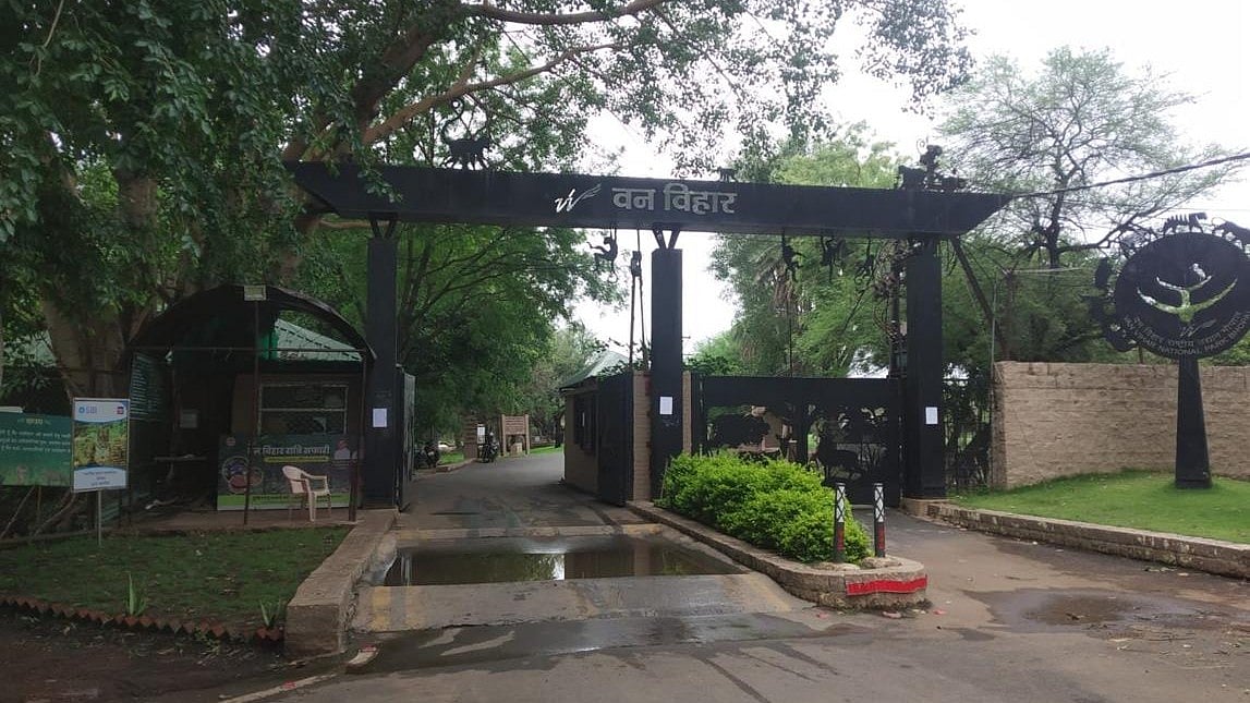 Illegal Construction Within 100 Metres Of Van Vihar Under NGT Scanner, Action-Taken Report Sought In Bhopal