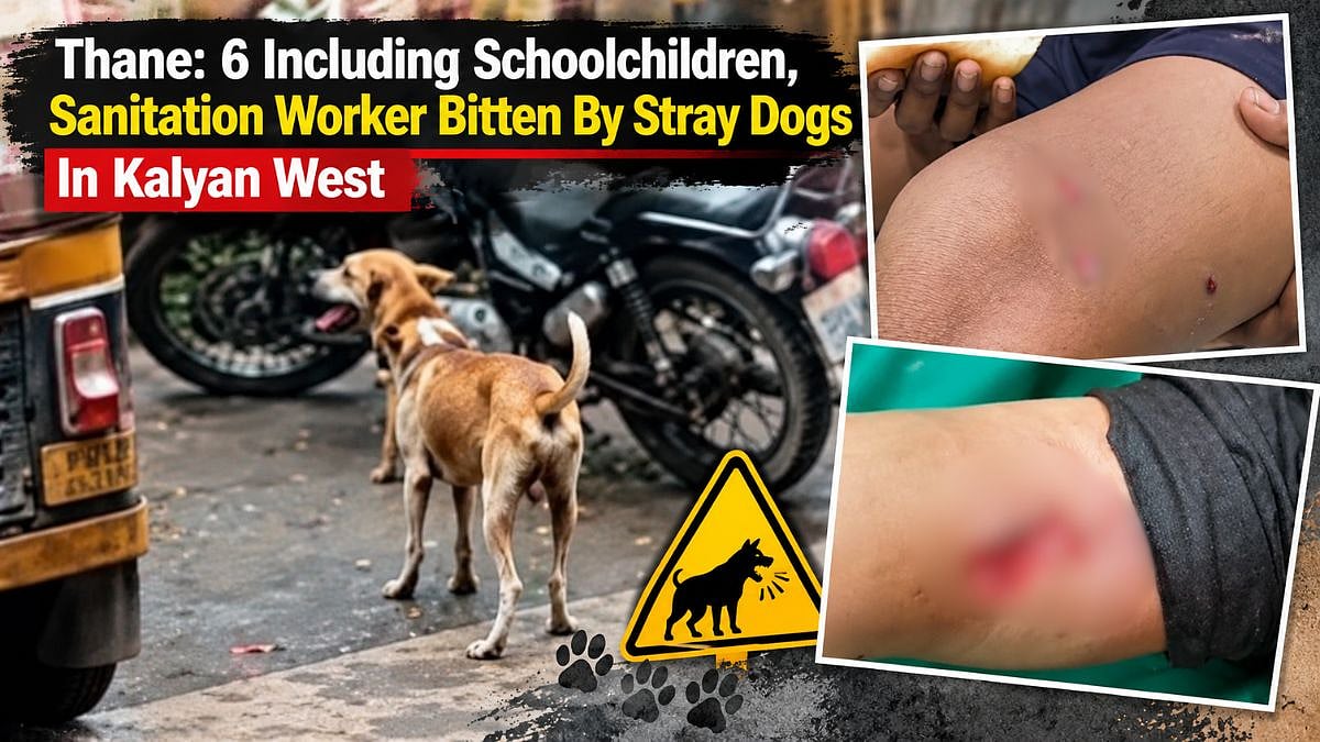 Thane: 6 Including Schoolchildren, Sanitation Worker Bitten By Stray Dogs In Kalyan West