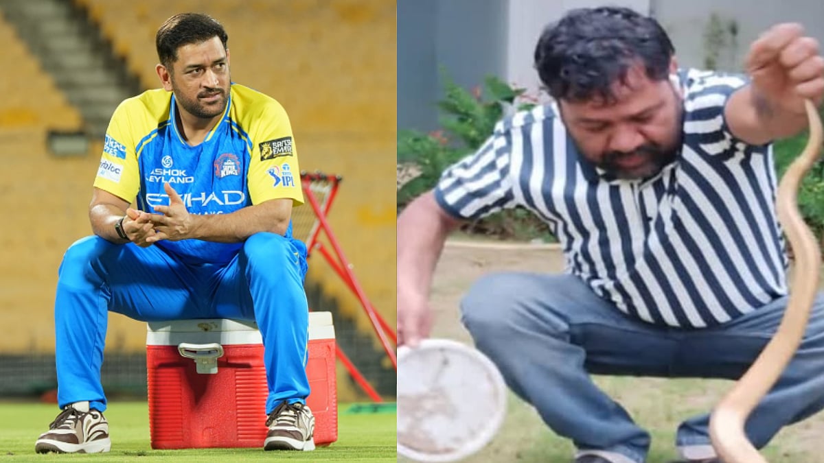 Snake Scare At MS Dhoni's Ranchi Farmhouse! Cobra Rescued From His Property After Being Spotted On Premises