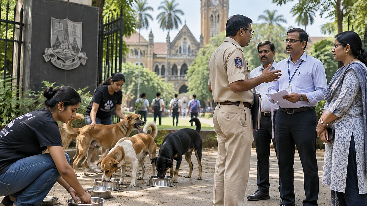 BMC Directs Mumbai University To Allow Feeding Of Community Dogs At Kalina Campus