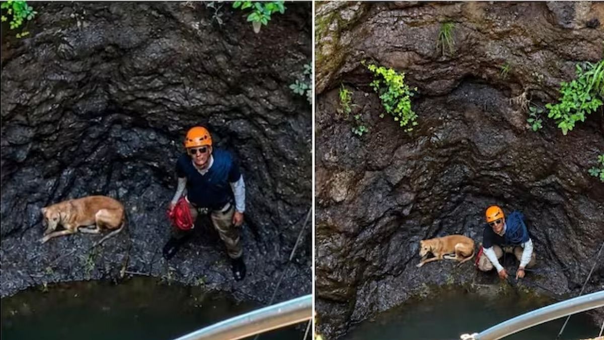 WATCH: Two Dogs Rescued From 60-Foot Well In Jalna, Rescue Team Travels 90 Km To Help