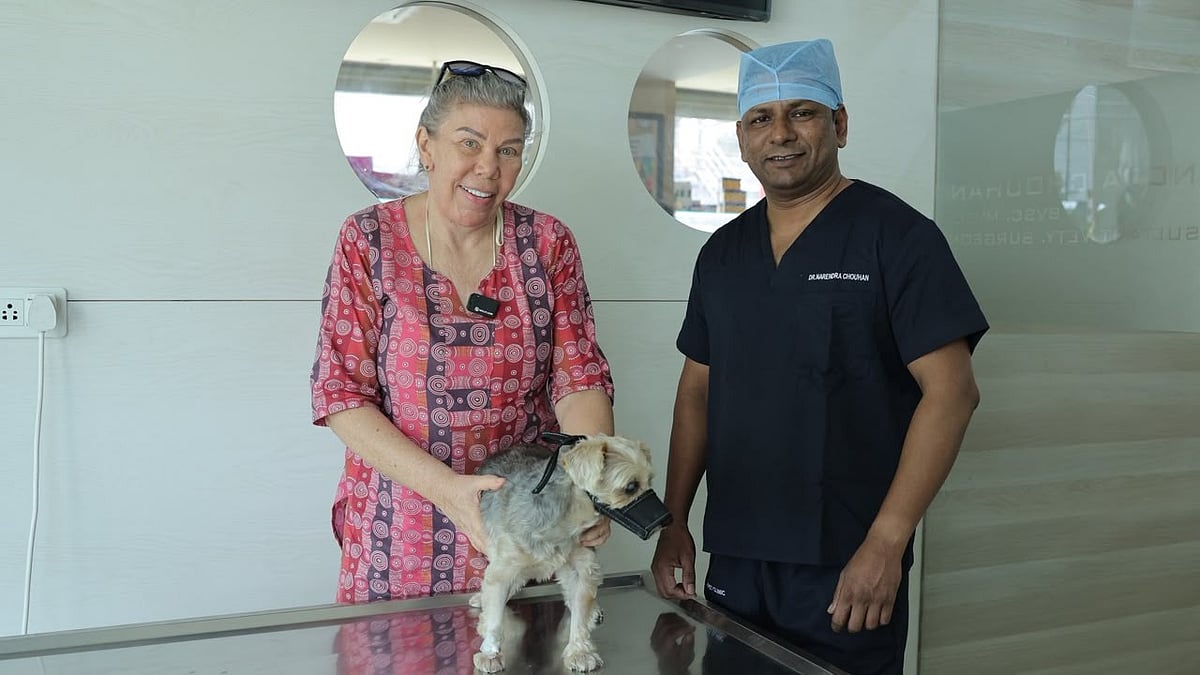 Dog Comes From Lanka To Indore For Cataract Care 