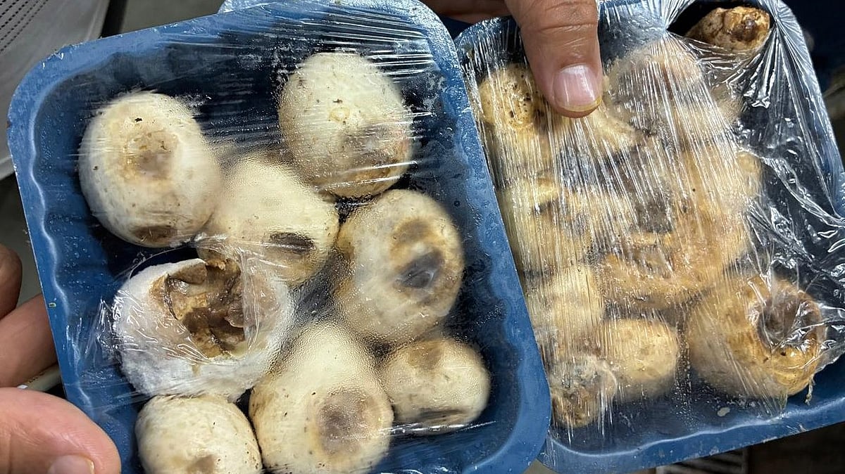 From Expired Chicken To Rotten Mushrooms: FDA Inspection Exposes Food Safety Lapses At Bhopal Hotels