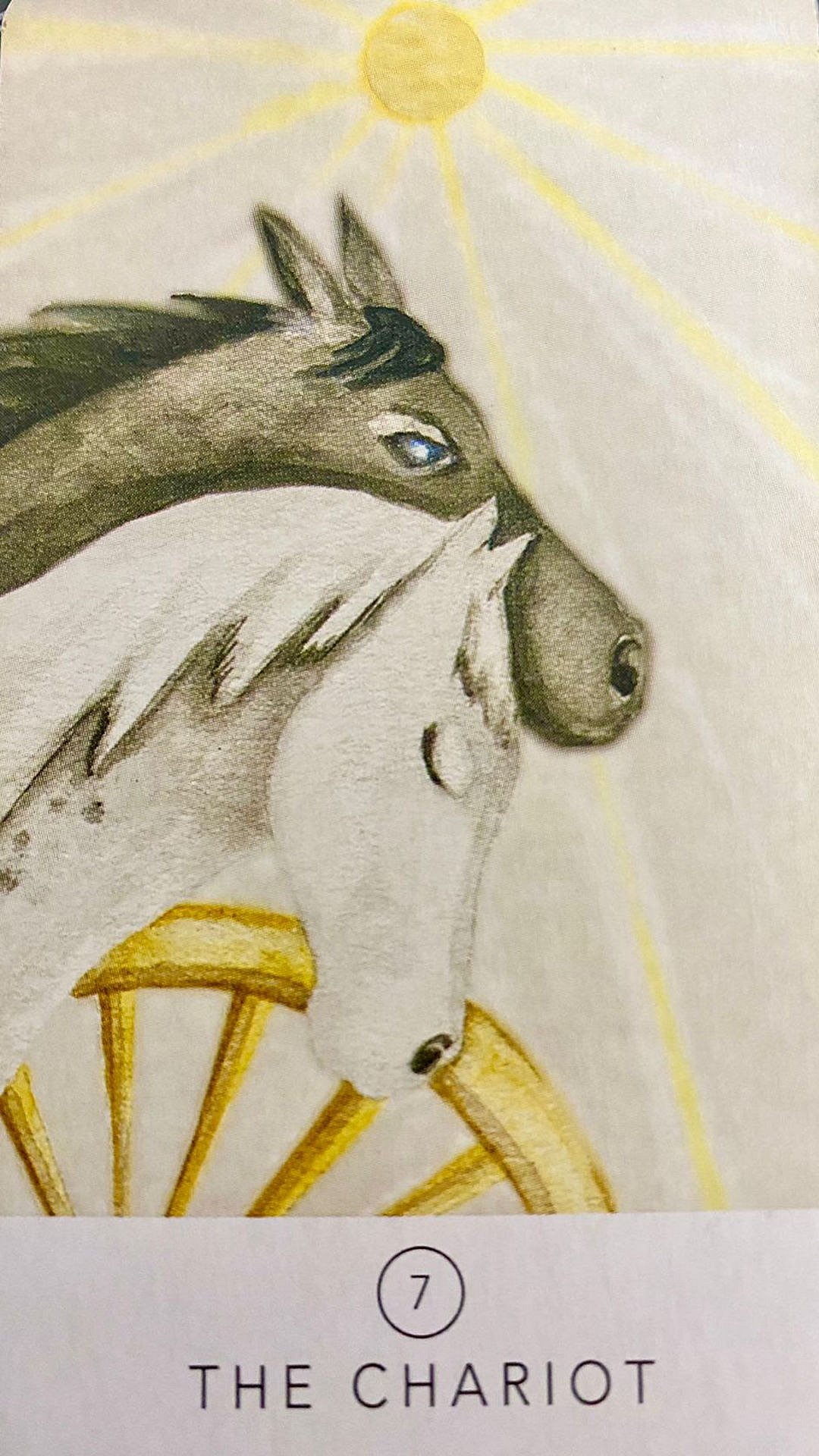 The Chariot