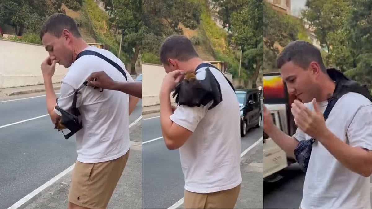 ‘When Batman Catches You’: Bat Clings To Man, Tourist’s Frozen Reaction Goes Viral  