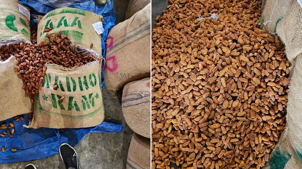 Mumbai: DRI Seizes 362.75 MT Pakistan-Origin Dry Dates Worth ₹5.66 Crore In 13 Containers