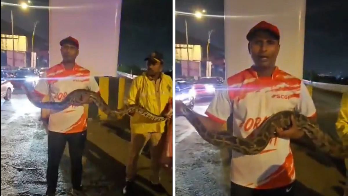 WATCH: Massive 9-Foot Python Found In Mumbai's Bandra East, Safely Rescued & Released Into Forest