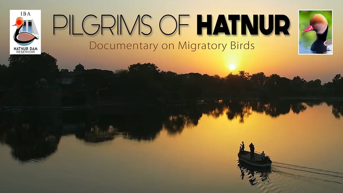 Jalgaon: ‘Pilgrims of Hatnur’ Selected For International Tourism Short Film Festival