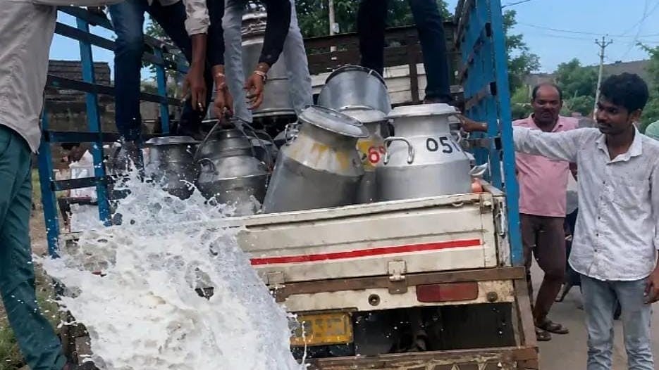 Market Unrest In MP’s Susner, Bhikangaon As Cotton Farmers Protest Falling Bids, Milk Sellers Seek ₹100/Litre