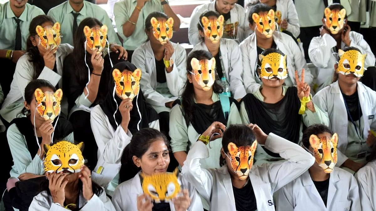 Cheetah Project Completes Four Years, Population Reaches 52 With 32 Born In India
