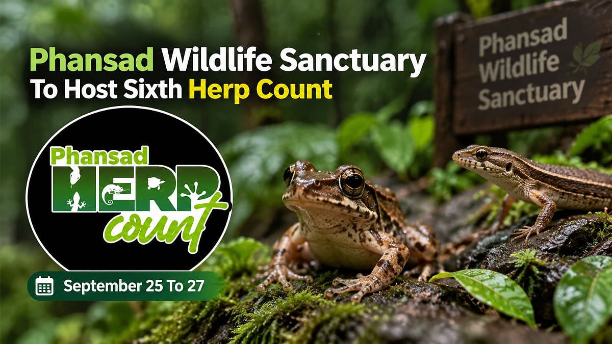 Phansad Herp Count 2026: Wildlife Enthusiasts To Document Amphibians, Reptiles From September 25 To 27