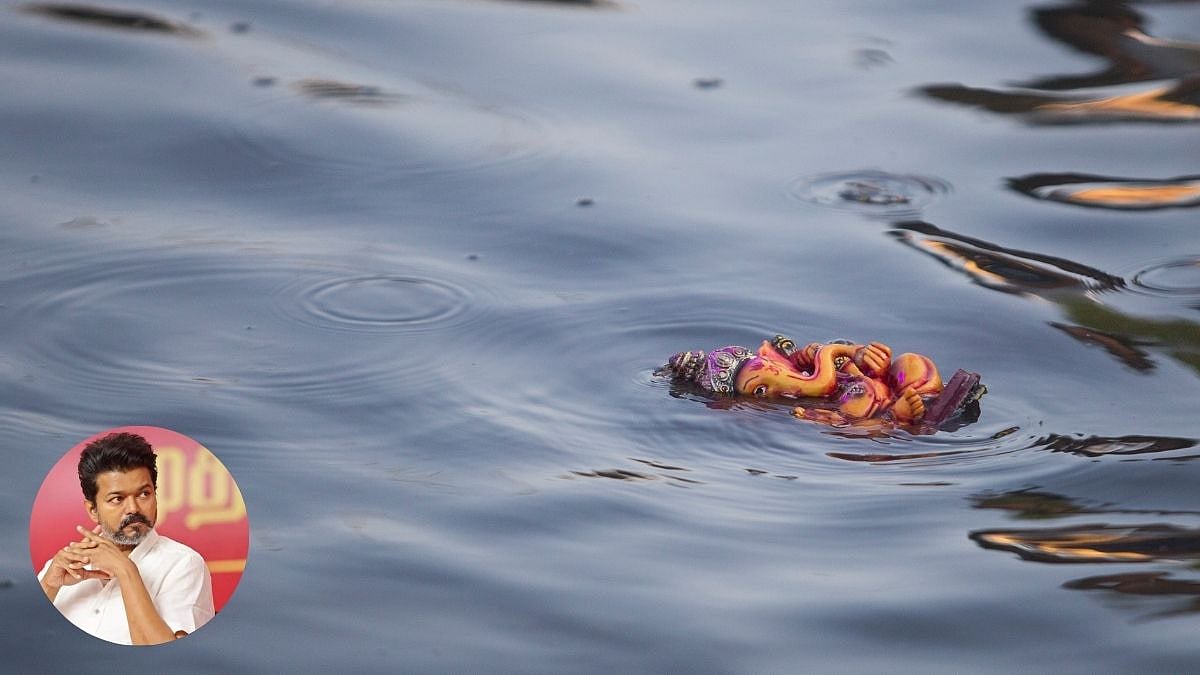 No Ganesh Idol Immersion In Water Bodies From 2027, Tamil Nadu Tells National Green Tribunal 