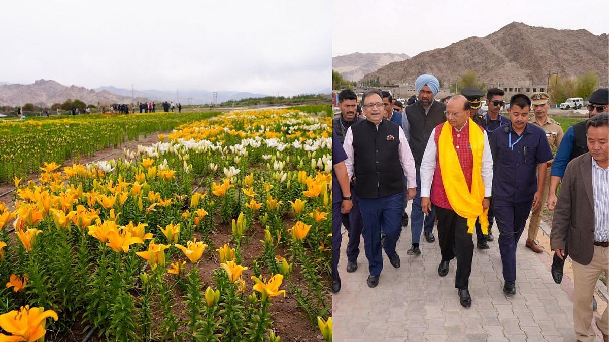 LG VK Saxena Inaugurate The World's Highest-Altitude Twin Flower Fields At Leh On PM Modi's 76th Birthday 