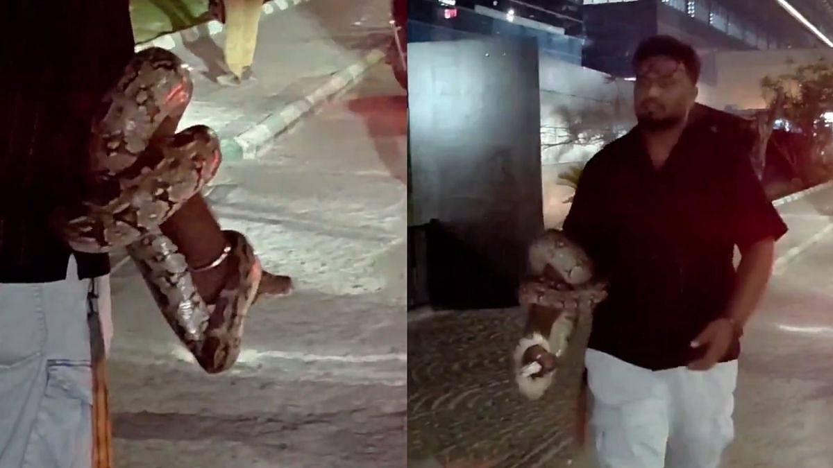 Viral VIDEO: Hyderabad Man Casually Walks With Large Python Coiled Up On Hand, Leaves Netizens Stunned