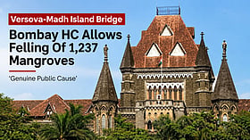 Bombay High Court allows BMC to cut 1,237 mangroves for Versova–Madh Island bridge