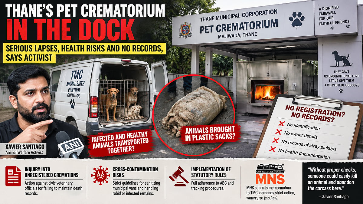 Thane Pet Crematorium Under Scanner After Allegations Of Unregistered Animal Cremations, Safety Lapses And Hygiene Concerns