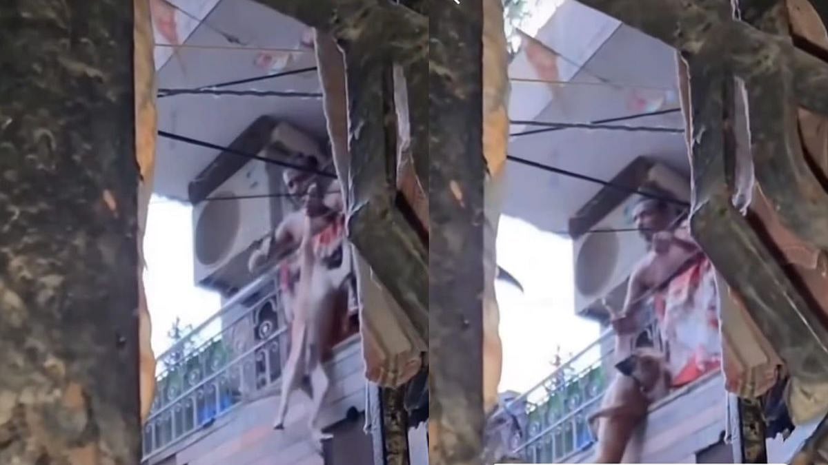 Disturbing Video From Delhi's Shalimar Bagh Shows Man Repeatedly Beating Dog; Raises Concern Over Animal Safety 