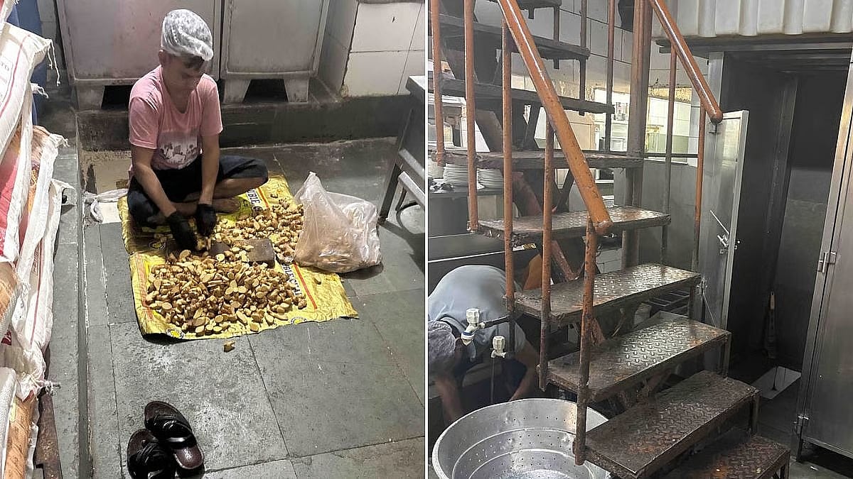 Maharashtra FDA Suspends Licences Of 7 Mumbai Food Establishments, Including Olympia Coffee House &...