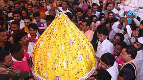251-kg rasmalai modak cake and giant motichoor laddu offered at Pune’s Dagdusheth Ganpati