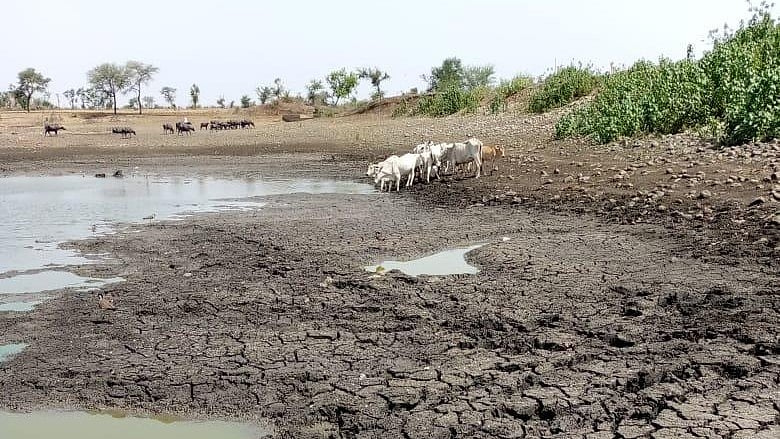 Rainfall Deficit Deepens As Farmers Fear Crop And Water Crisis In MP’s Dhar
