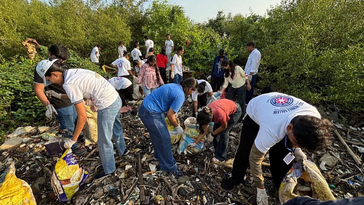 Navi Mumbai Mangroves Overrun By Plastic & Household Waste, Nearly 1 Tonne Cleared