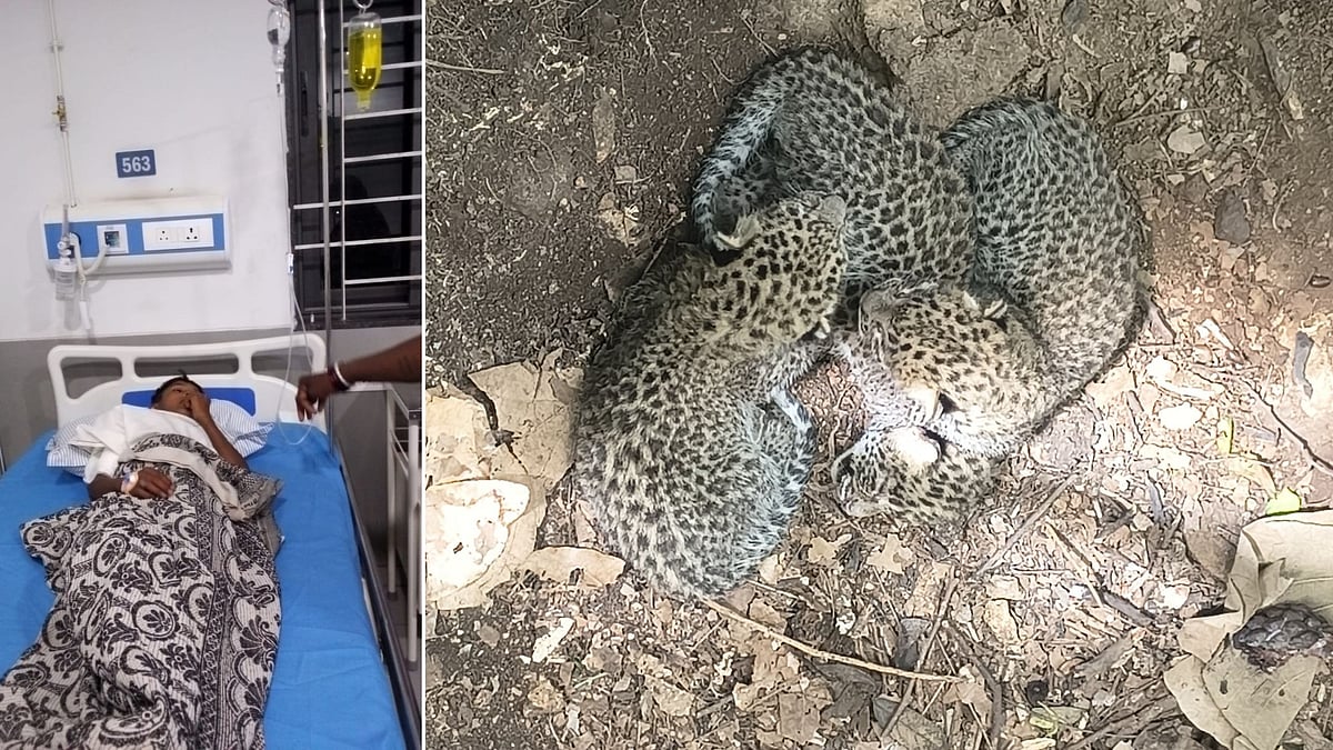 10-Year-Old Boy Seriously Injured In Leopard Attack Near Forest In MP’s Dhar