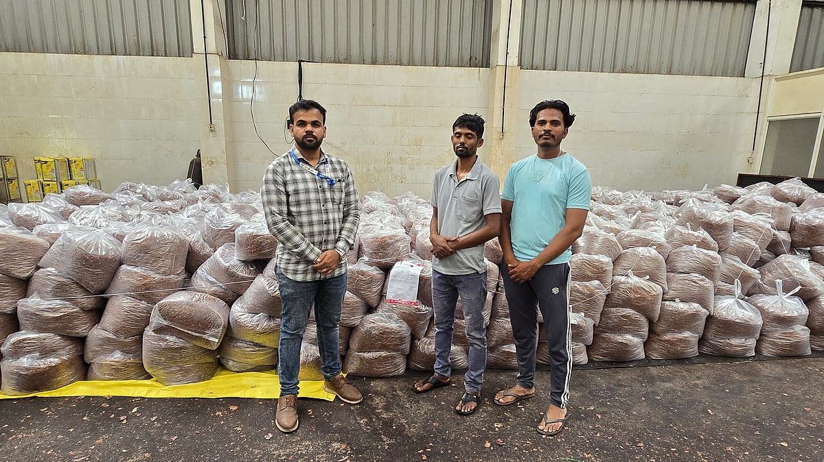 Nashik: FDA Seizes Food Stock Worth ₹48.81 Lakh During Festive Inspection Drive