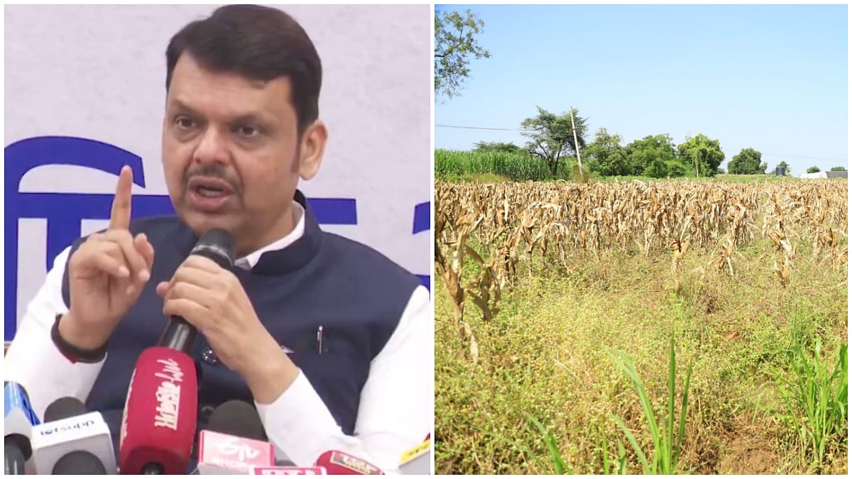 Maharashtra To Assess Drought Situation In Three Stages; CM Fadnavis Says Relief Measures Underway
