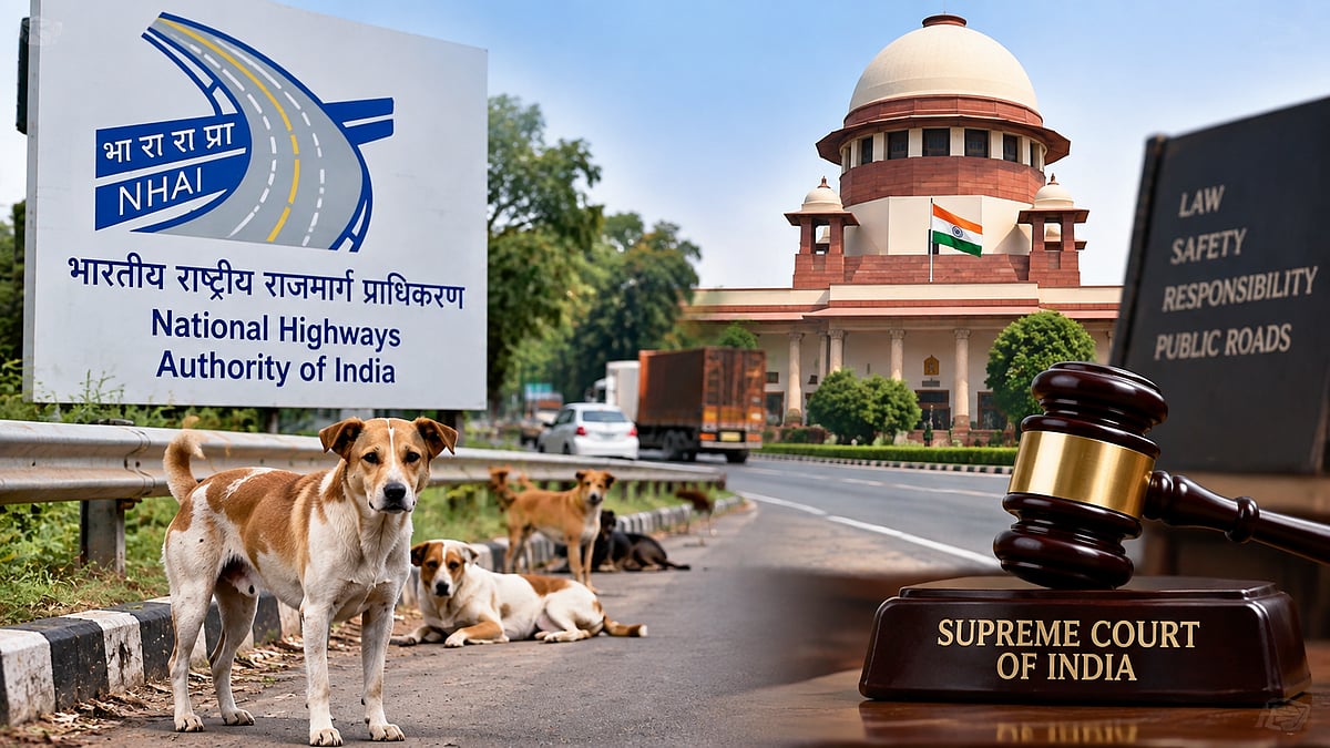 NHAI Moves Supreme Court Over Stray Animals, Says Local Authorities Must Take Primary Responsibility