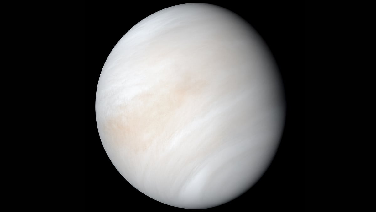 Venus Retrograde 2026: A Romantic Flashback Could Be On The Cards