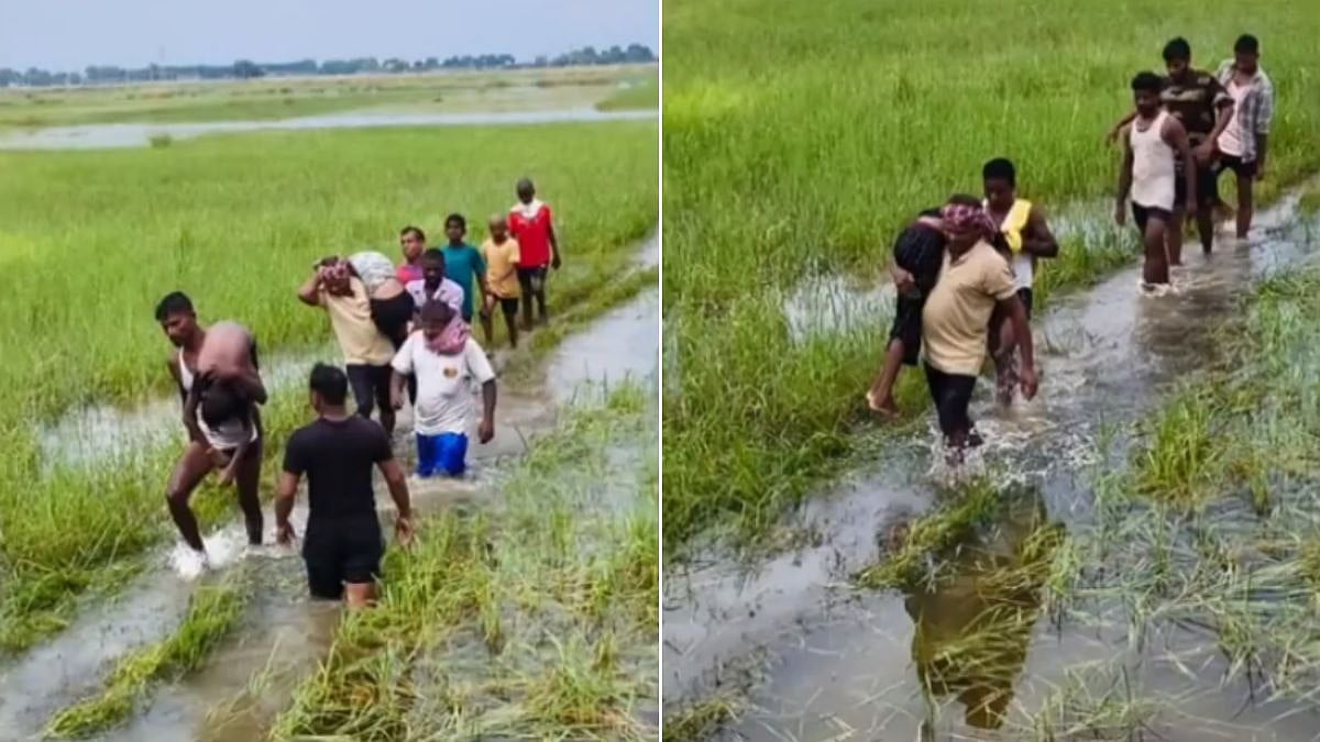 Bhagalpur Pond Tragedy: 6 Children Aged 12-13 Drown While Bathing During Karma-Dharma Festival In Sultanganj | Watch