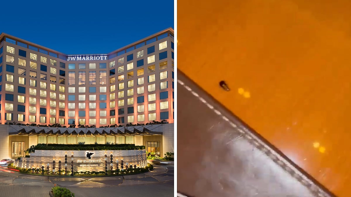 Mumbai Cardiologist Spots Cockroach On Dinner Table In Resto At JW Marriott; Tags Tukaram Mundhe On Social Media