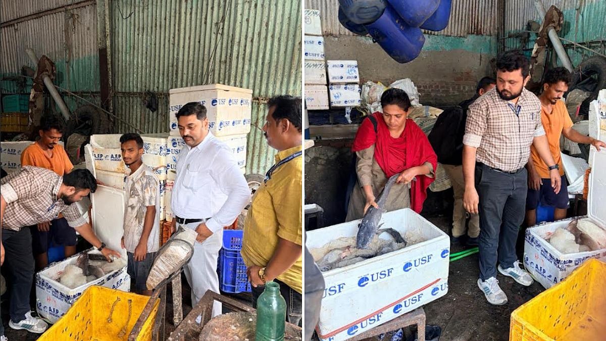 175 Kg Banned Magur Fish Seized From Bhiwandi Shop And Vehicle During Joint Fisheries Department Raid