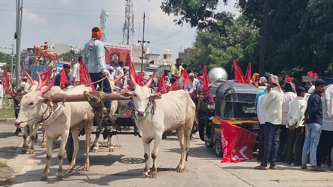 Beed: Shetkari Kamgar Party Takes Out Bullock-Cart Morcha At Kaij Tehsil Office