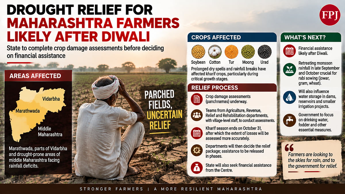 Maharashtra Drought Relief Likely After Diwali As Crop Damage Surveys Underway In Rainfall-Deficit Areas