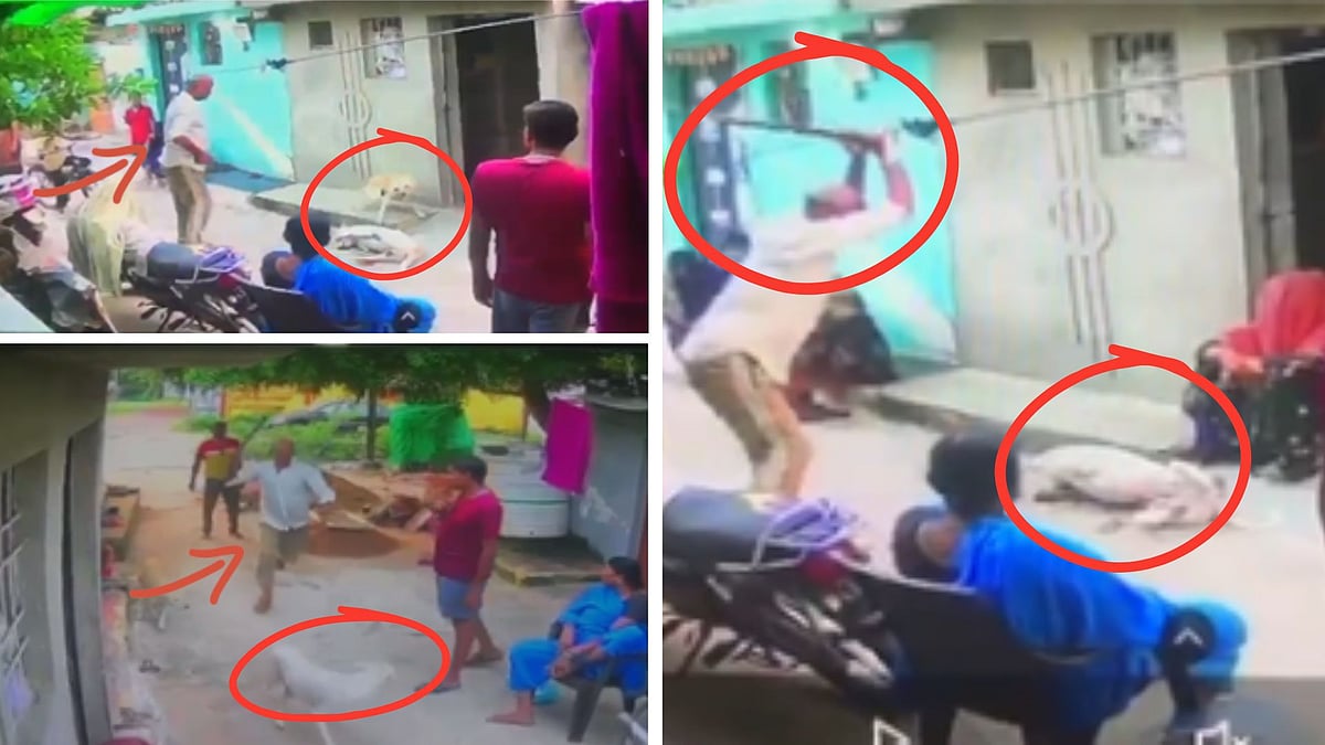 Man Caught Kil*ing Dog With An Axe In Gwalior — CCTV Video 
