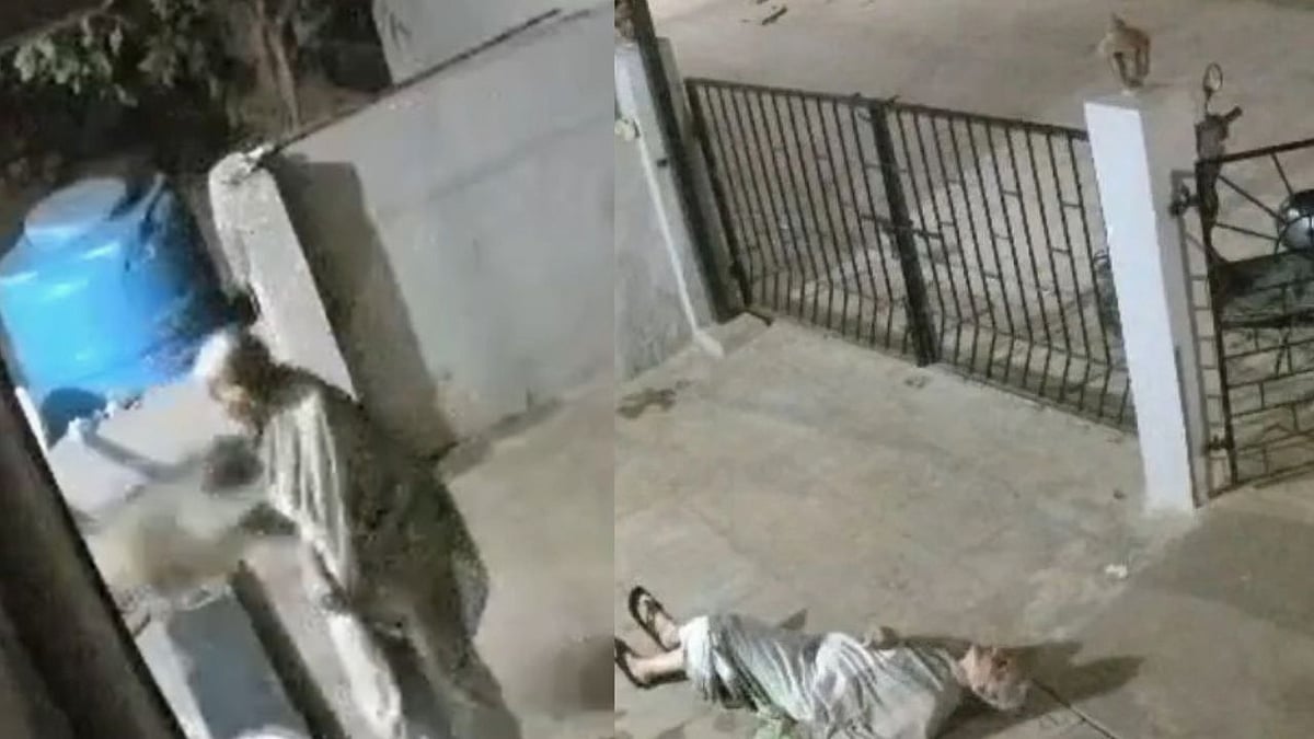 Karnataka: 91-Year-Old Woman Dies After Monkey Knocks Her Down Outside Her House; CCTV Video Surfaces