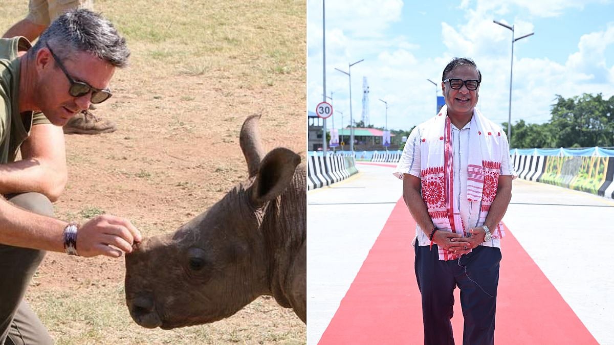 'Huge Congrats': Kevin Pietersen Lauds Assam CM Himanta Biswa Sarma For Preventing Rhino Poaching
